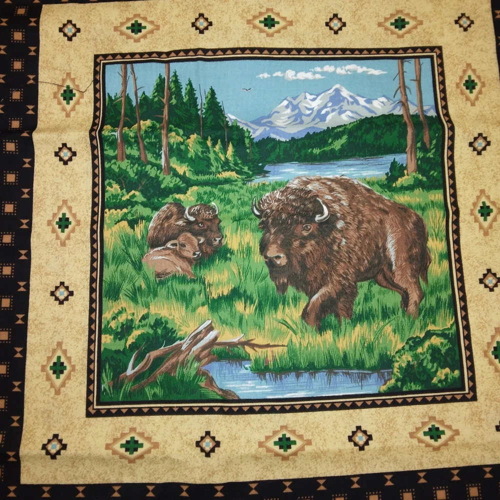 FABRIC PILLOW PANELS Eagle perched, eagle flight, elf, Buffalo
